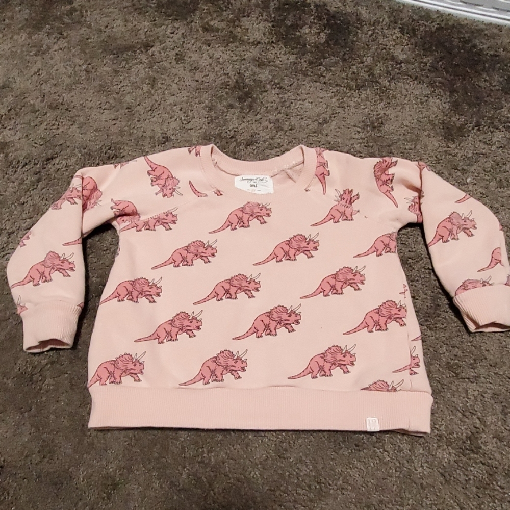 Stitchfix Dinosaur top
